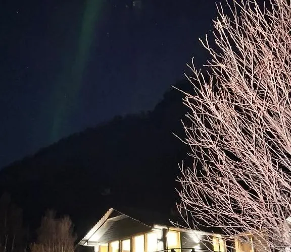 High Standard And Beautiful View Tennevik