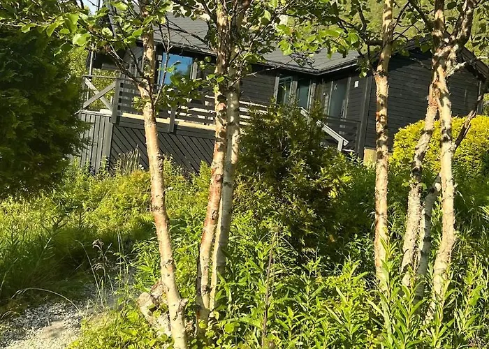 High Standard And Beautiful View